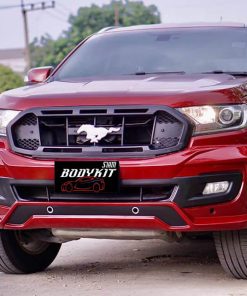 VIP Bodykit for Ford Everest 2019 (COLOR)