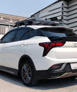 Alternative view of Ativus Bodykit for NETA V (COLOR)
