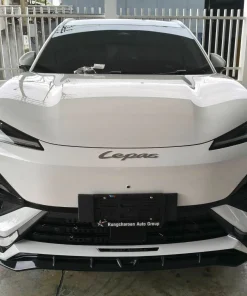 Rider Bodykit for LEPAS L6 EV (COLOR) - Image 24