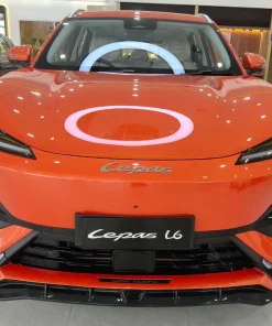 Rider Bodykit for LEPAS L6 EV (COLOR) - Image 5
